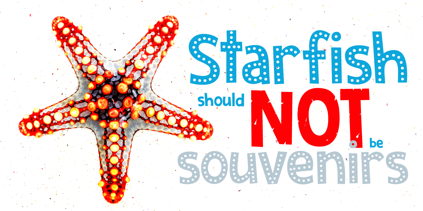 Zombie Starfish Font Poster #1