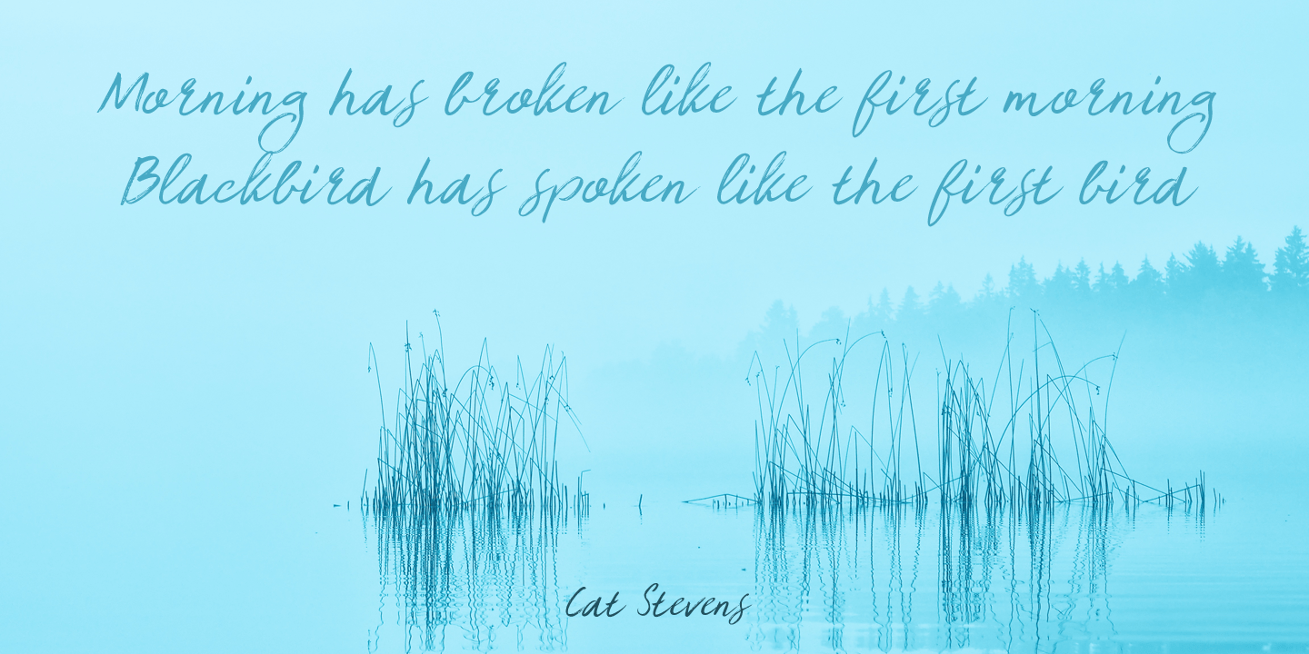 Brouillard Font Poster #1