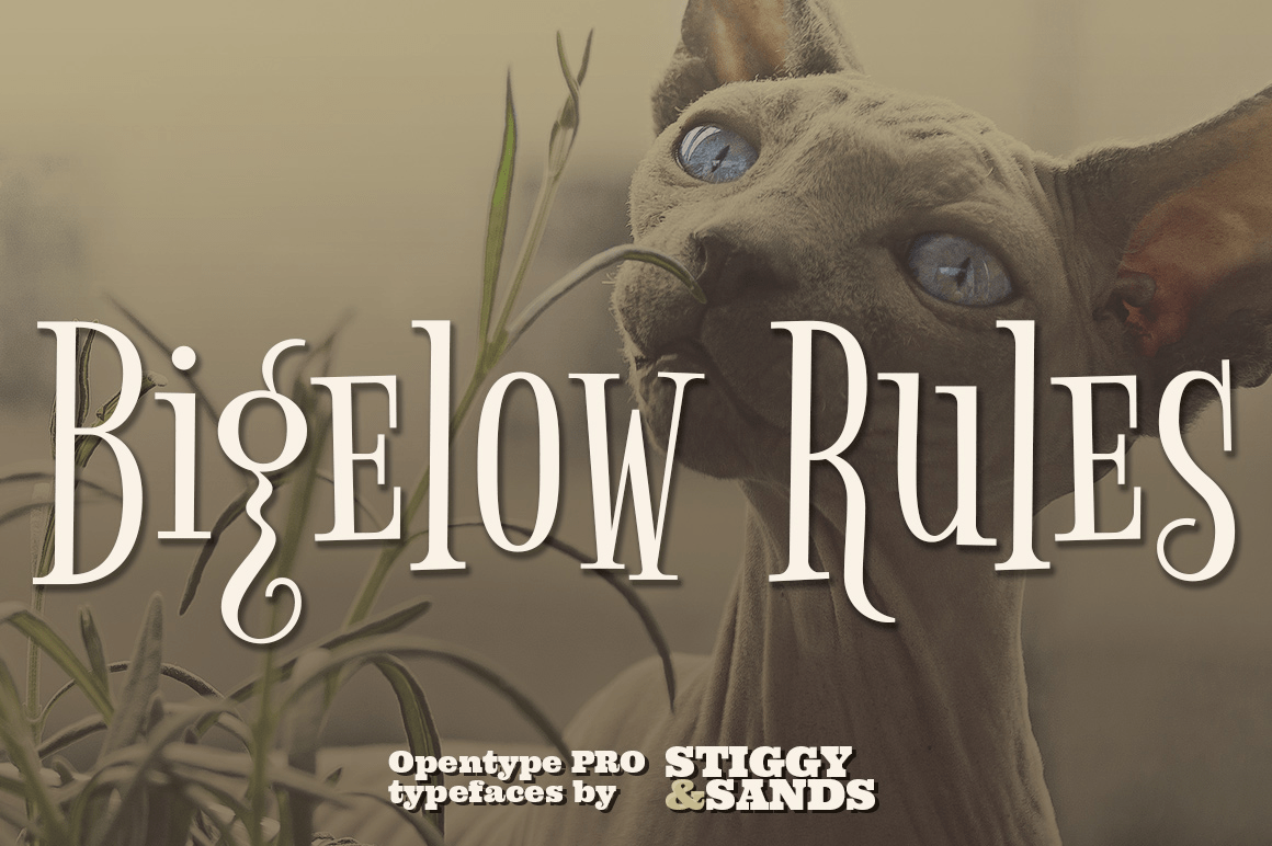 Bigelow Rules Pro Poster