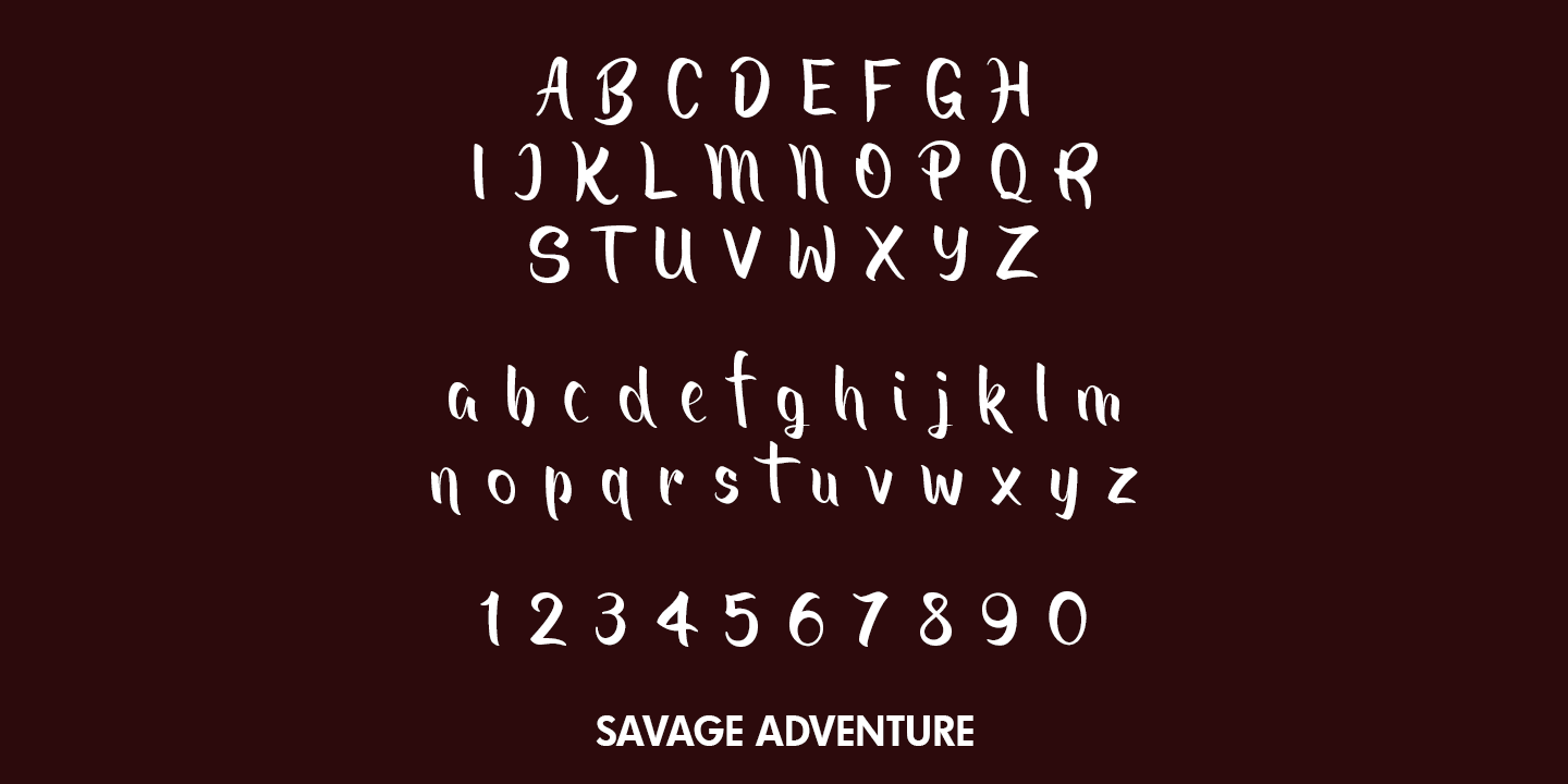 Savage Adventure Font Poster #1