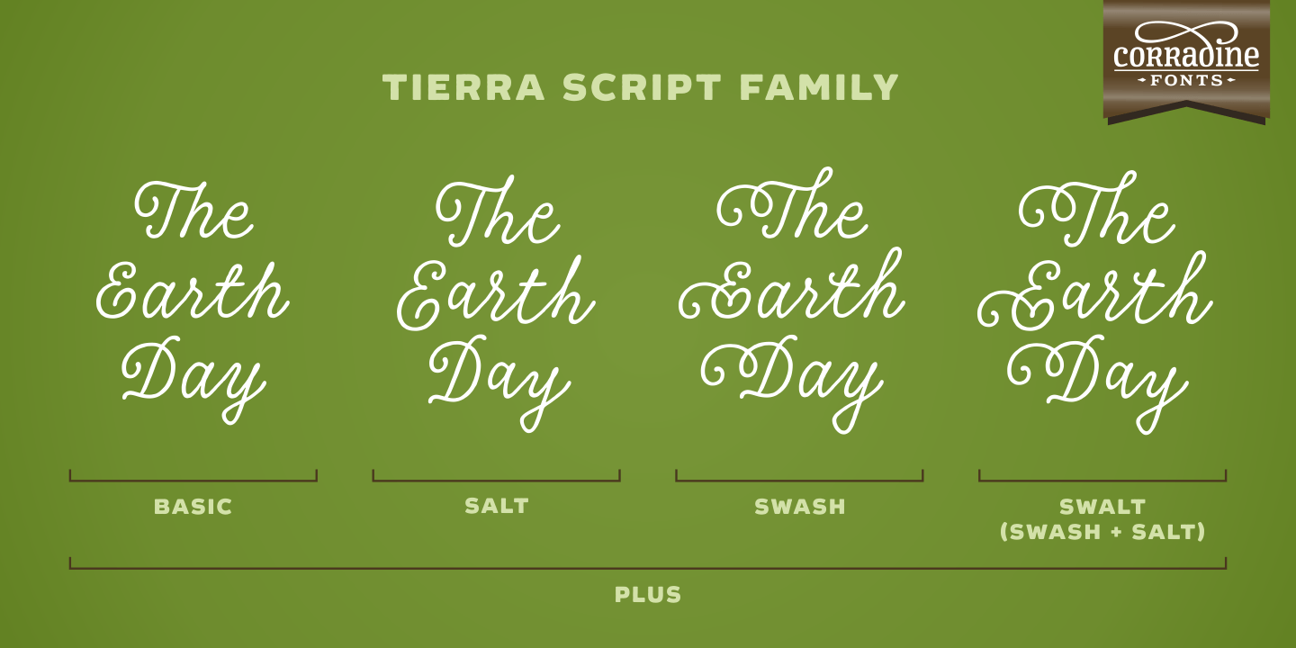 Tierra Script Font Poster #1