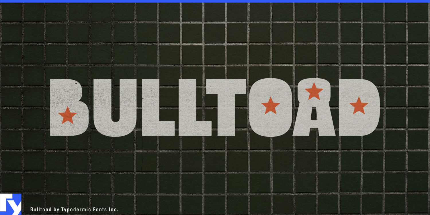 Bulltoad Font Poster #1