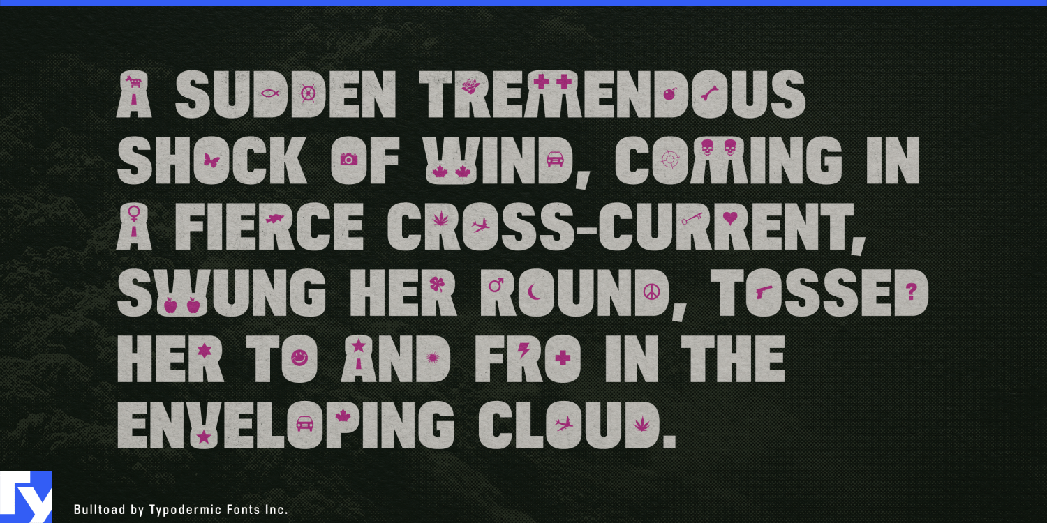 Bulltoad Font Poster #1
