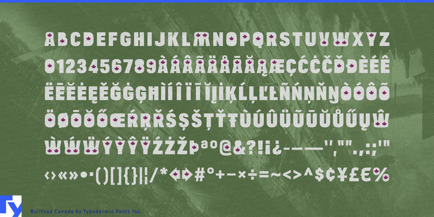 Bulltoad Font Poster #1