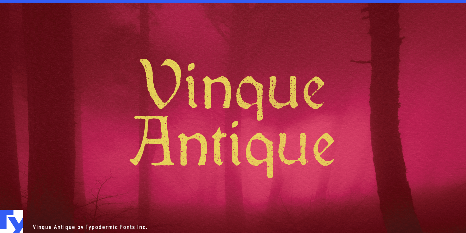 Vinque Antique Font Poster #1
