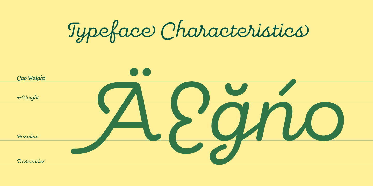 Pauline Script Font Poster #1