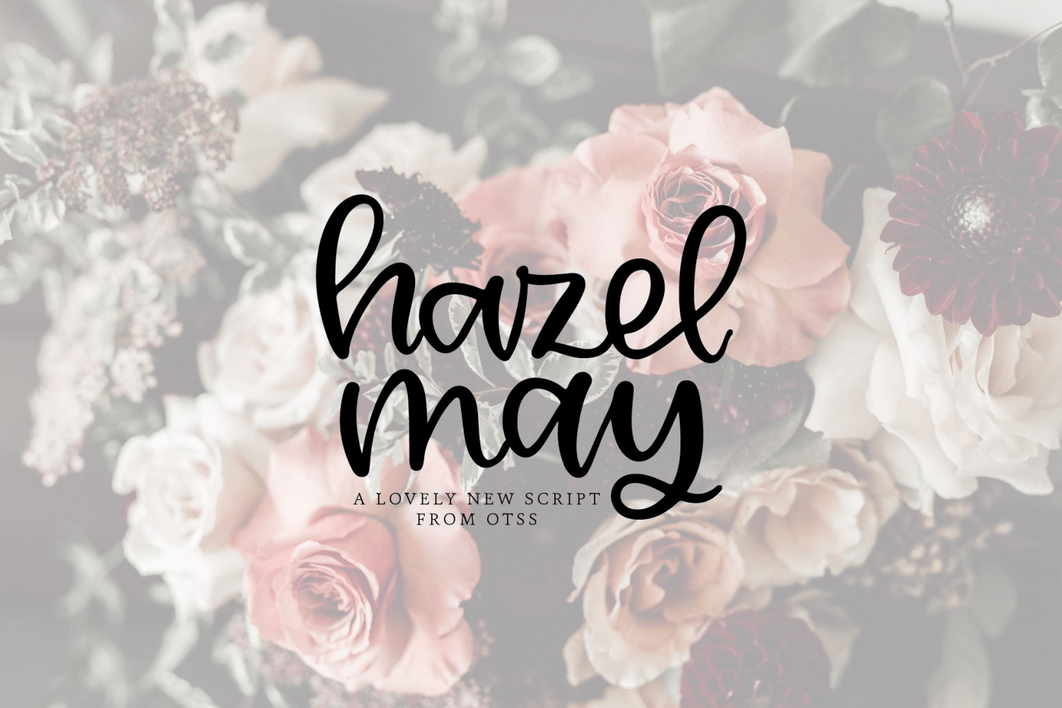 Hazel May Font Family Poster