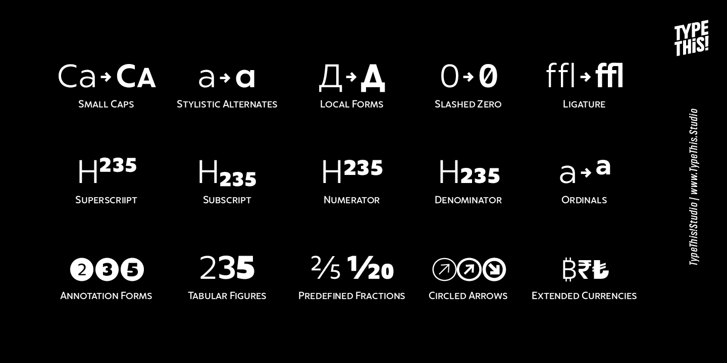 CapturaNow Font Poster #1
