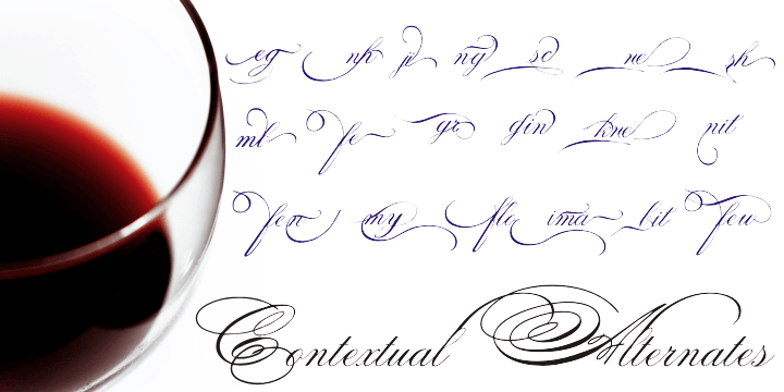 Spencerian Palmer Penmanship Font Poster #1