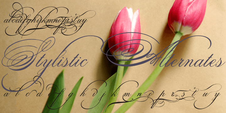 Spencerian Palmer Penmanship Font Poster #1