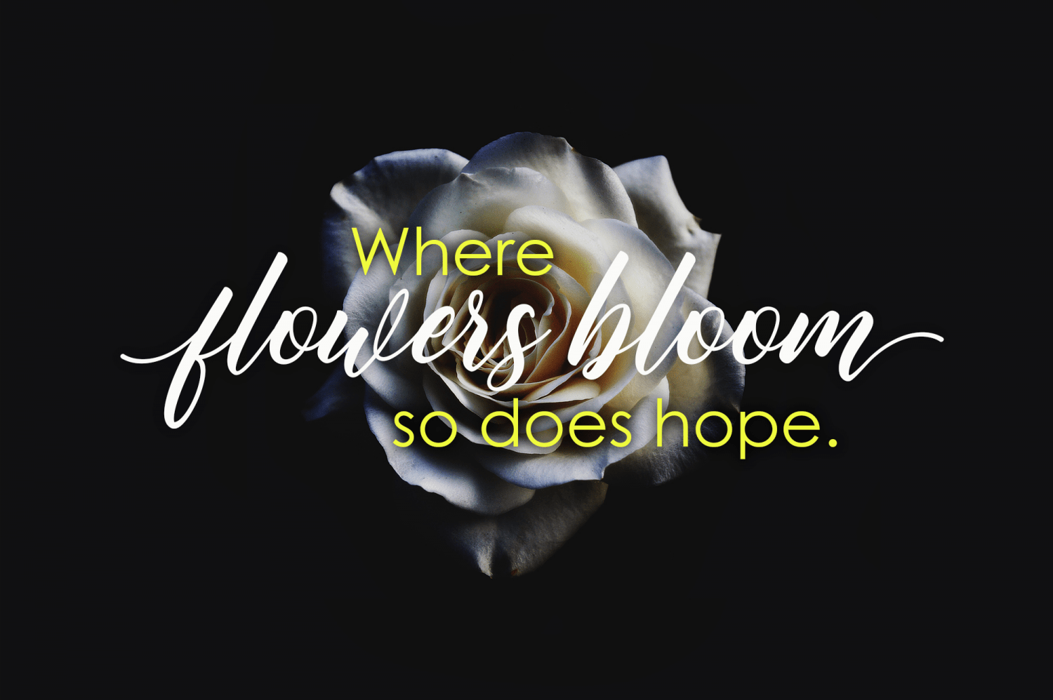 Butterflies Script Font Poster #1