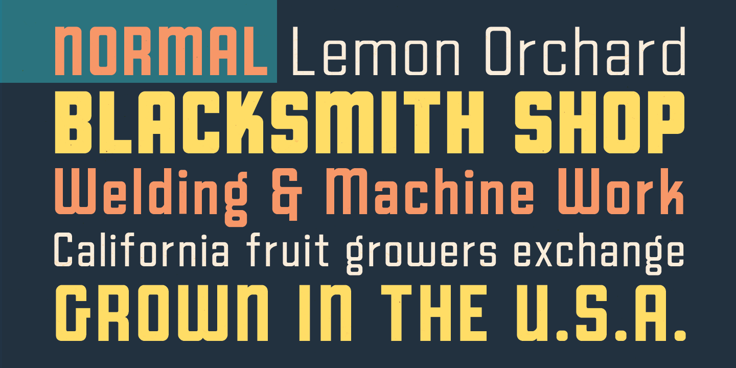Goodland Font Poster #1