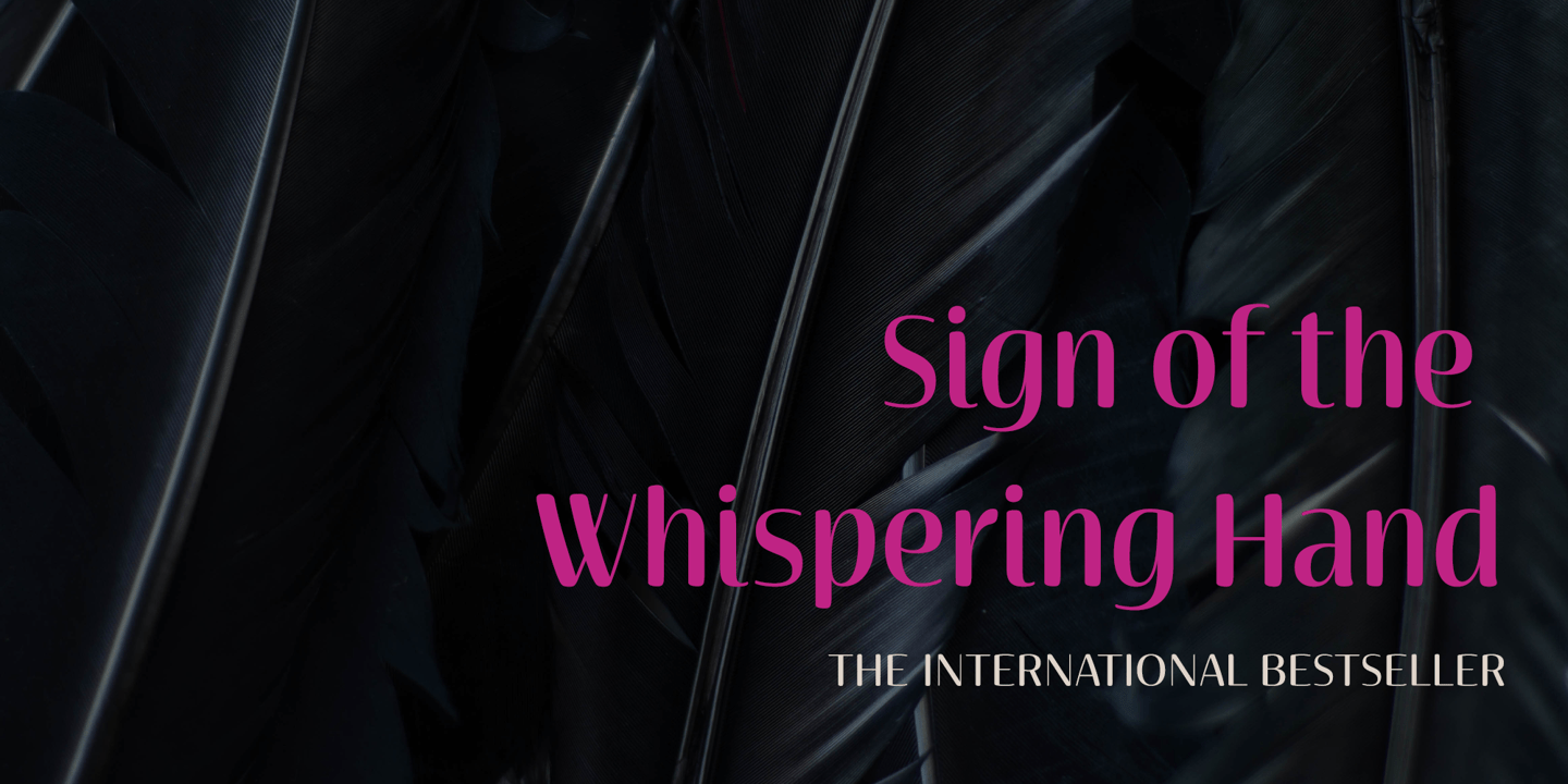 Terfens Contrast Font Poster #1