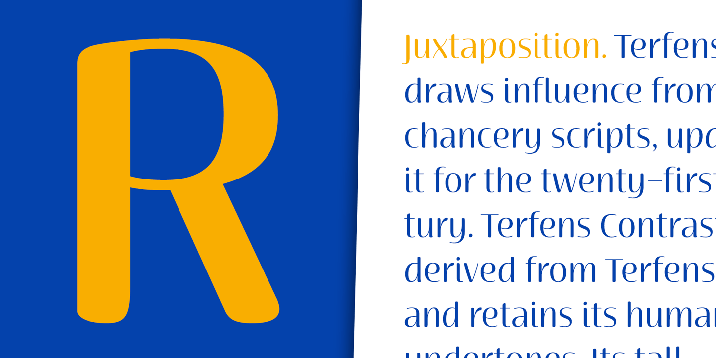Terfens Contrast Font Poster #1