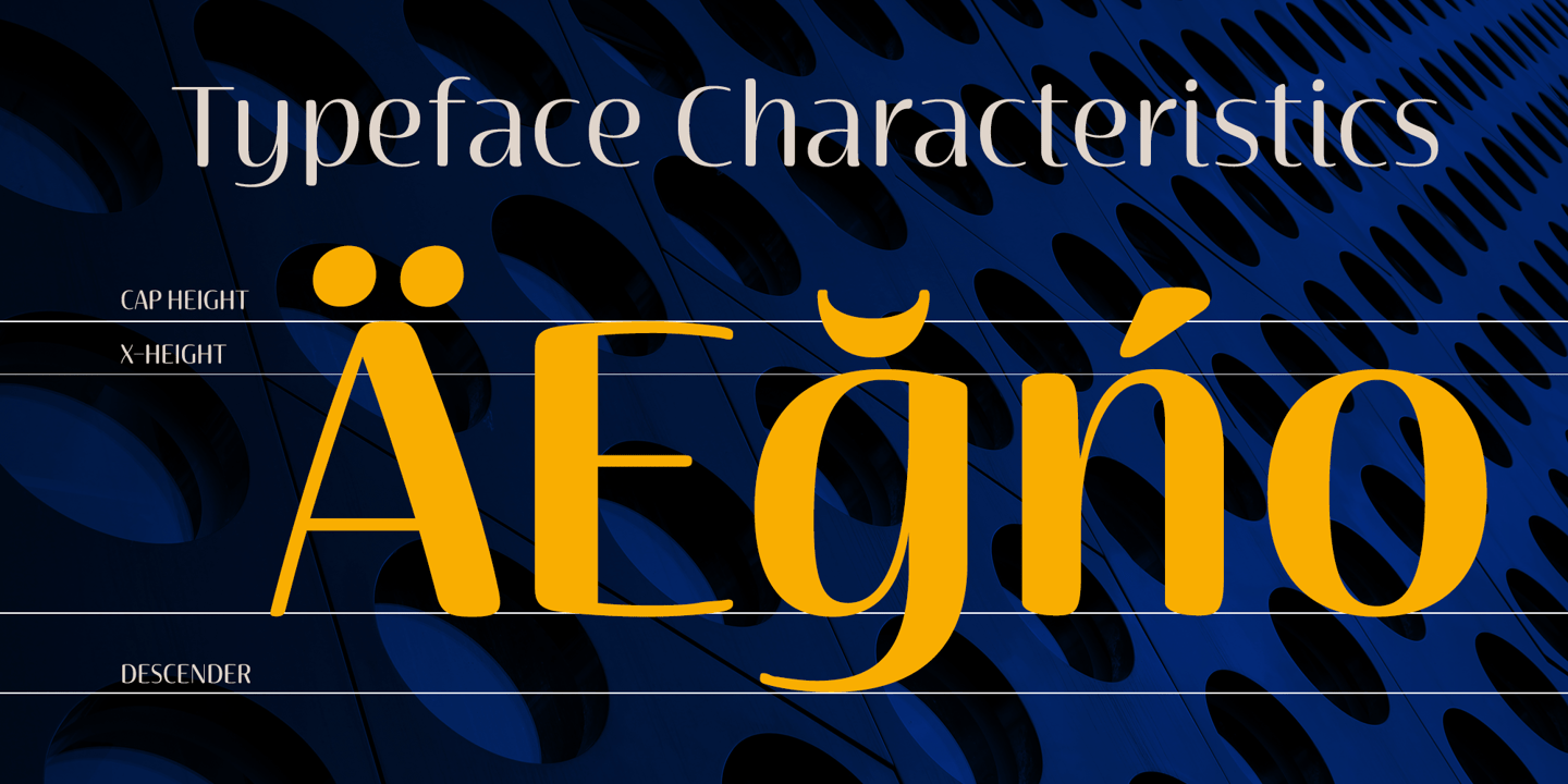 Terfens Contrast Font Poster #1