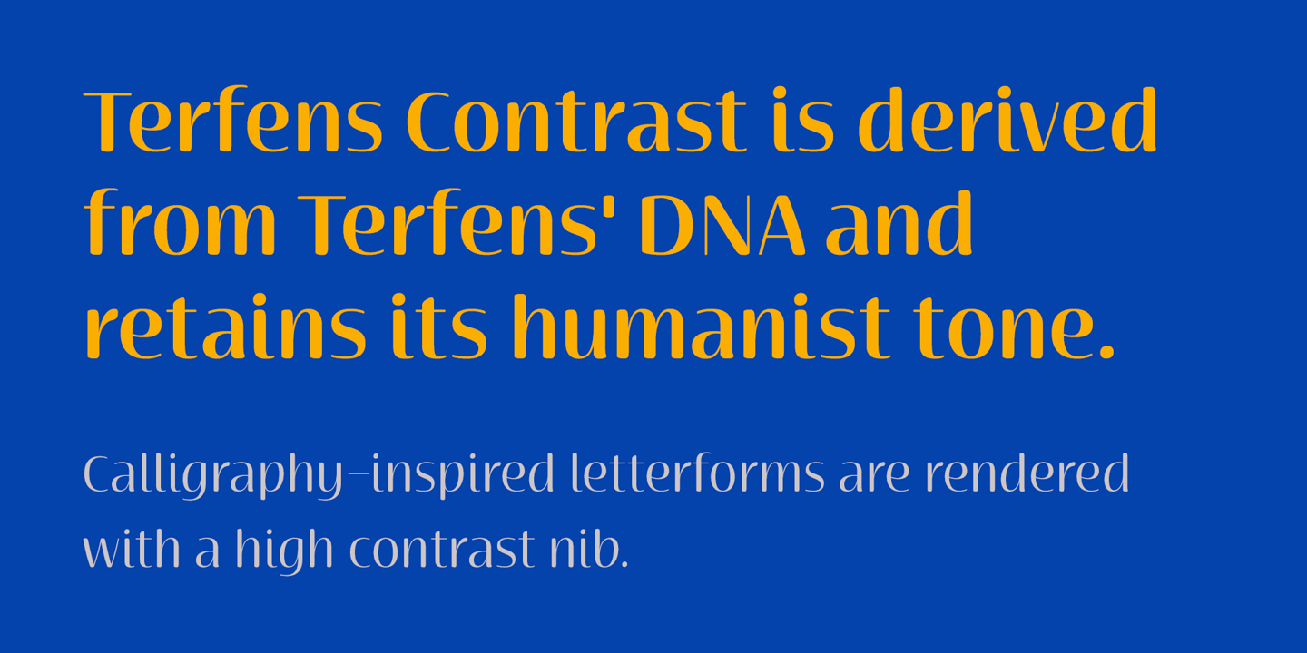 Terfens Contrast Font Poster #1