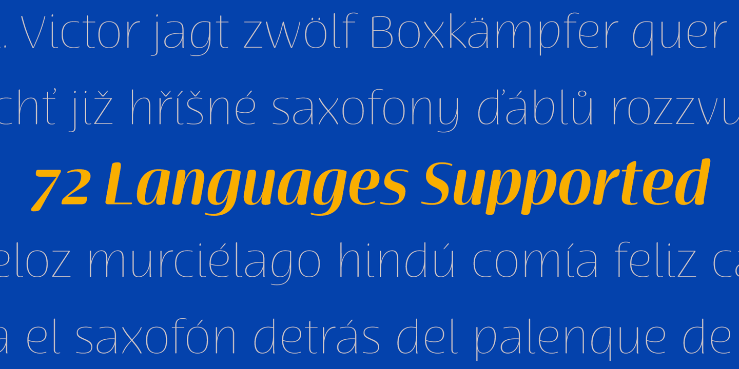 Terfens Contrast Font Poster #1