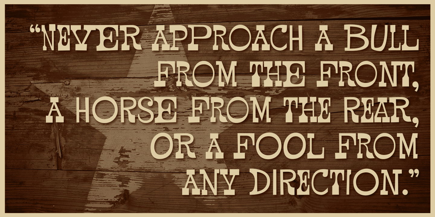 Pardner Font Poster #1