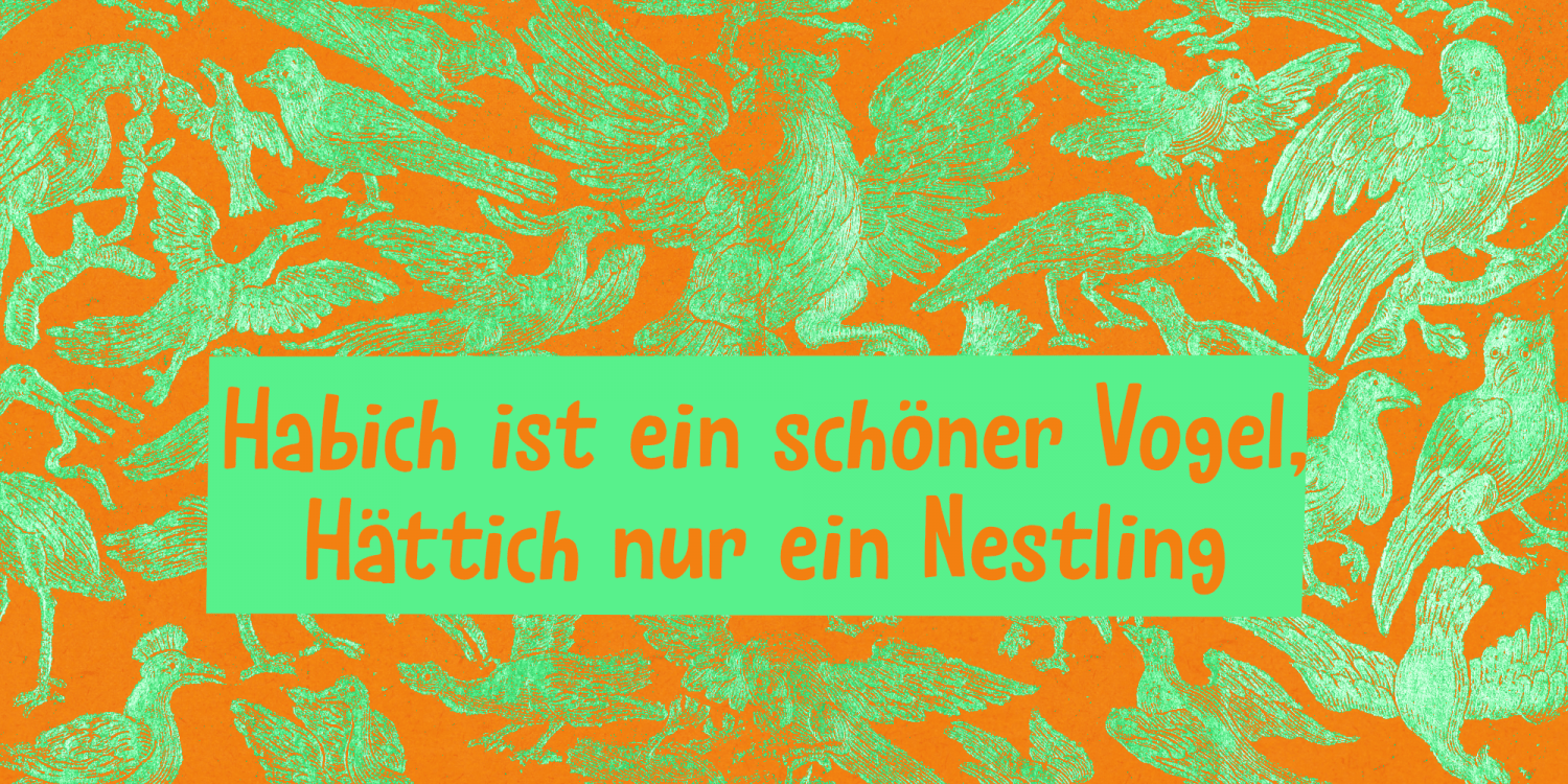 Fundevogel Font Poster #1