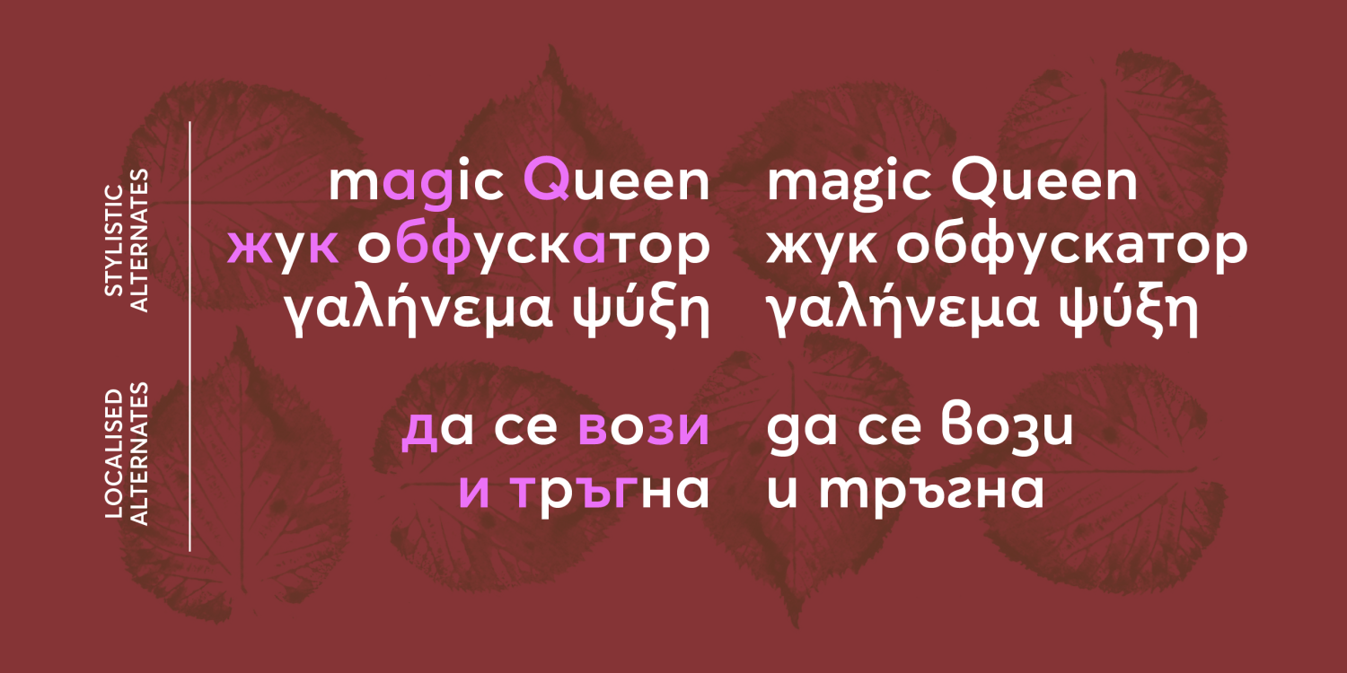 Averta Standard PE (Normal) Font Poster #1