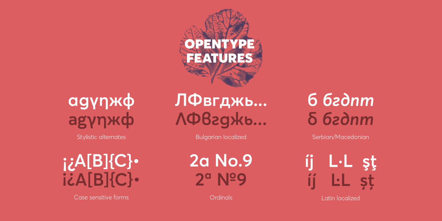 Averta Standard PE (Normal) Font Poster #1