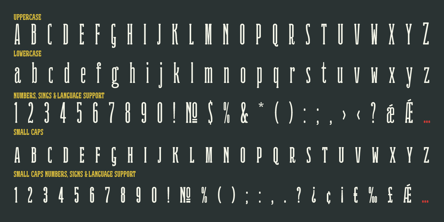 Ridewell Font Poster #1
