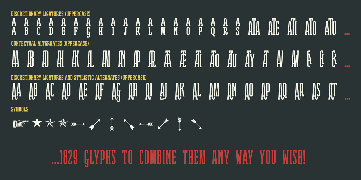 Ridewell Font Poster #1