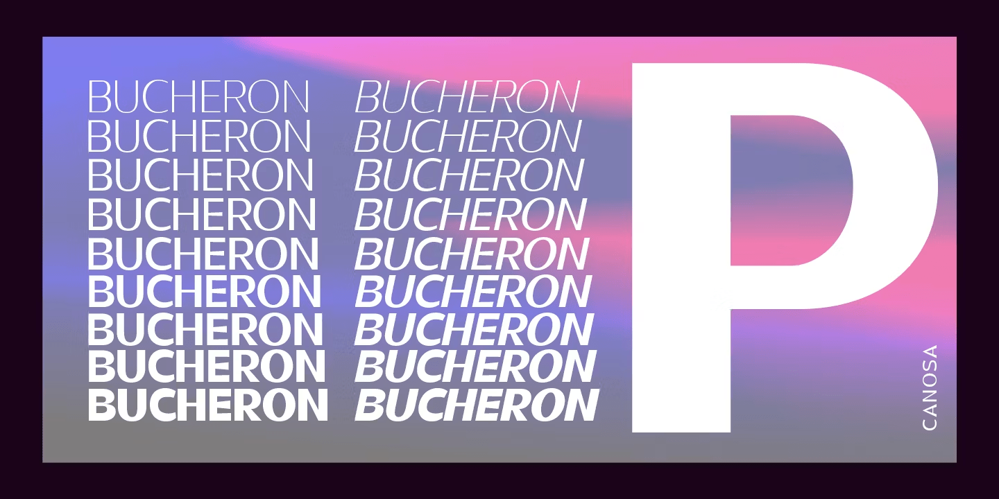 Canosa Font Poster #11