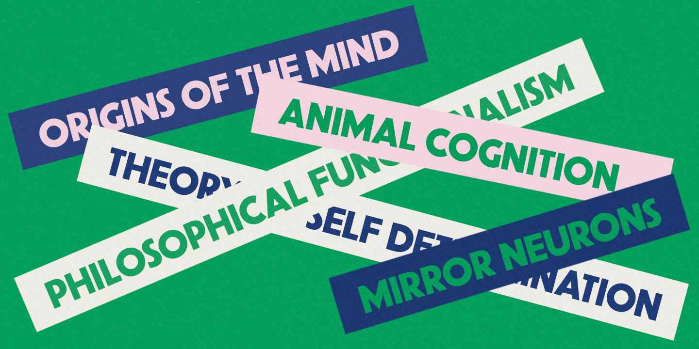 Common Goods Font Poster #1