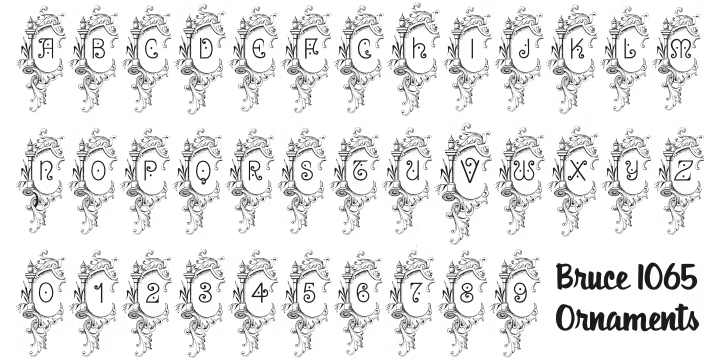 Bruce 1065 Font Poster #2