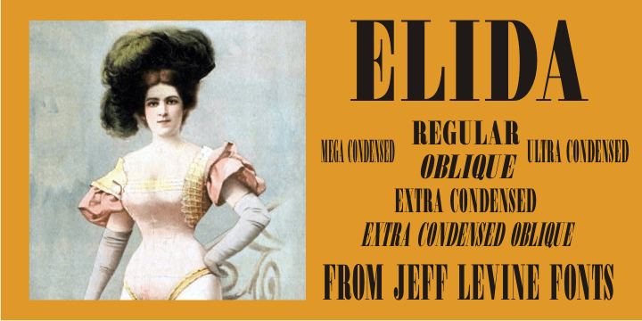 Elida Font Family Poster