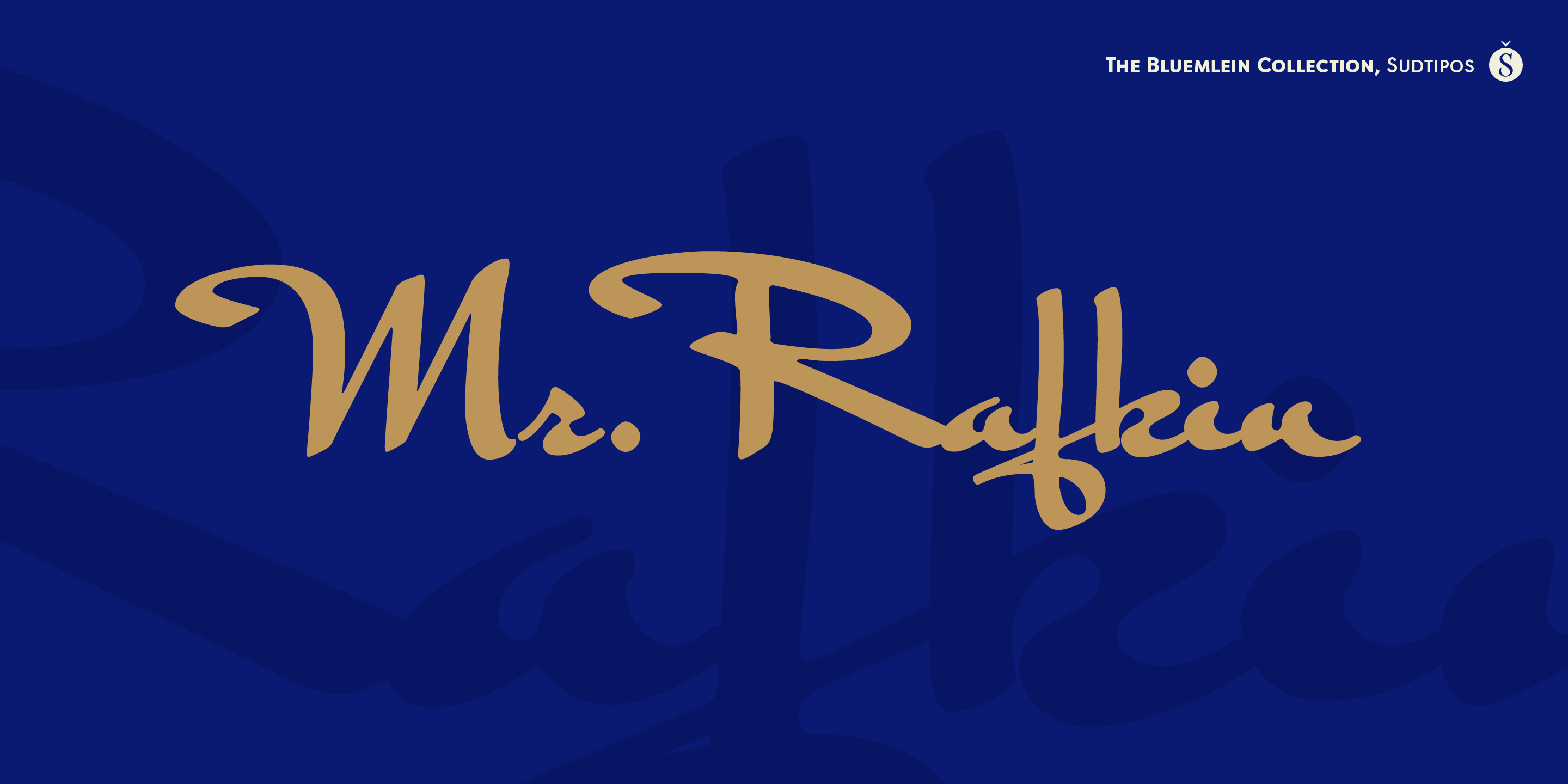 Mr Rafkin Poster