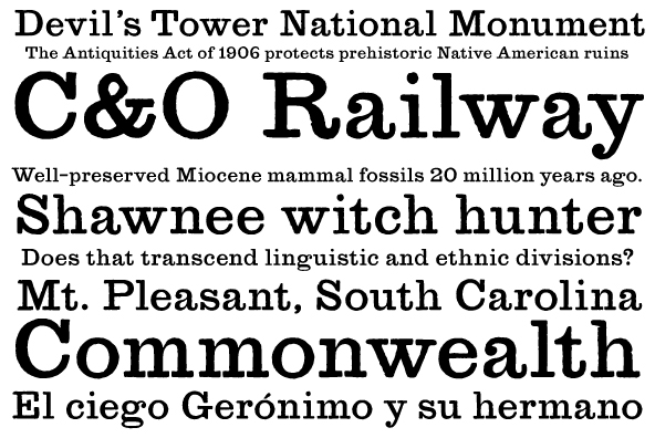 YWFT Merriam Font Poster #1