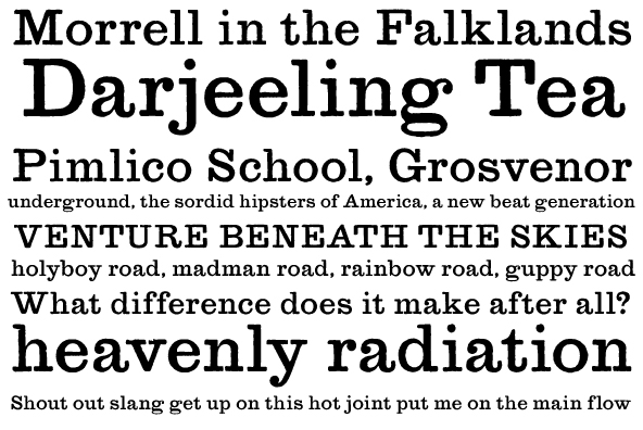 YWFT Merriam Font Poster #1