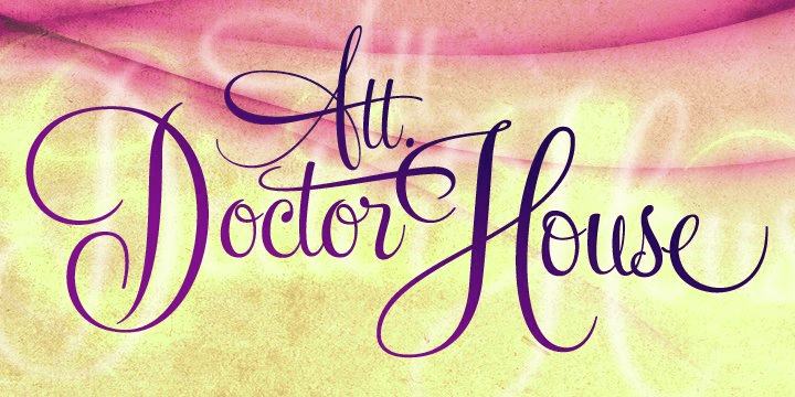 Feel Script Font Poster #1