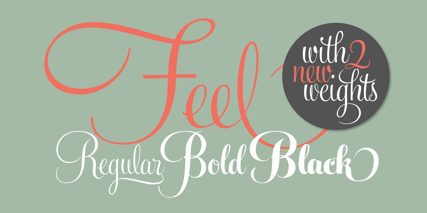 Feel Script Font Poster #1