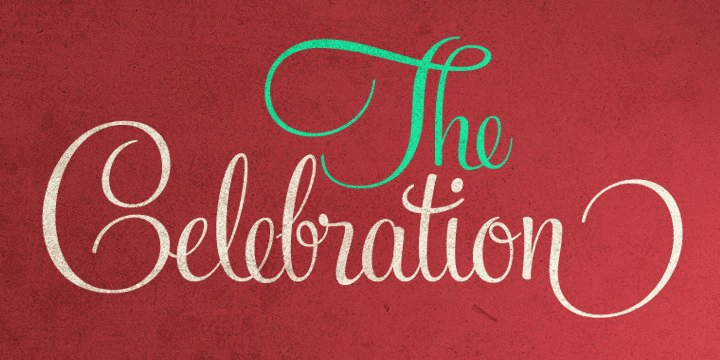 Feel Script Font Poster #1