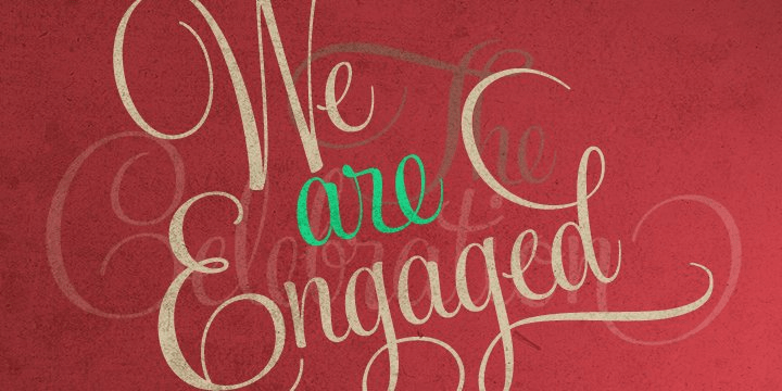 Feel Script Font Poster #1