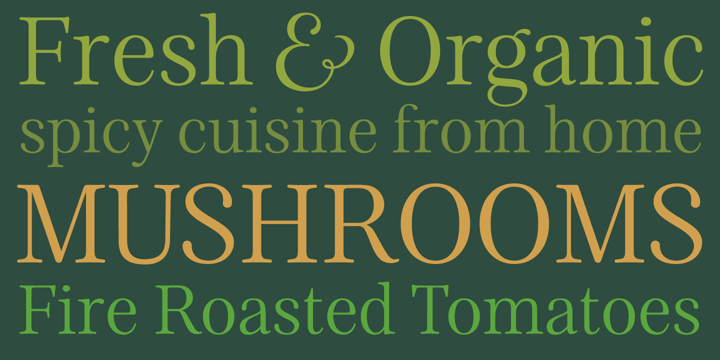Patchouli Display Font Poster #1