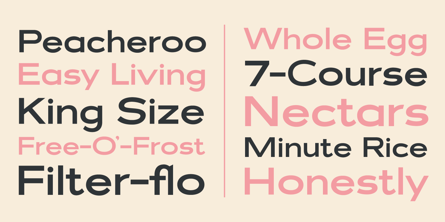 Filmotype Fashion Font Poster #4