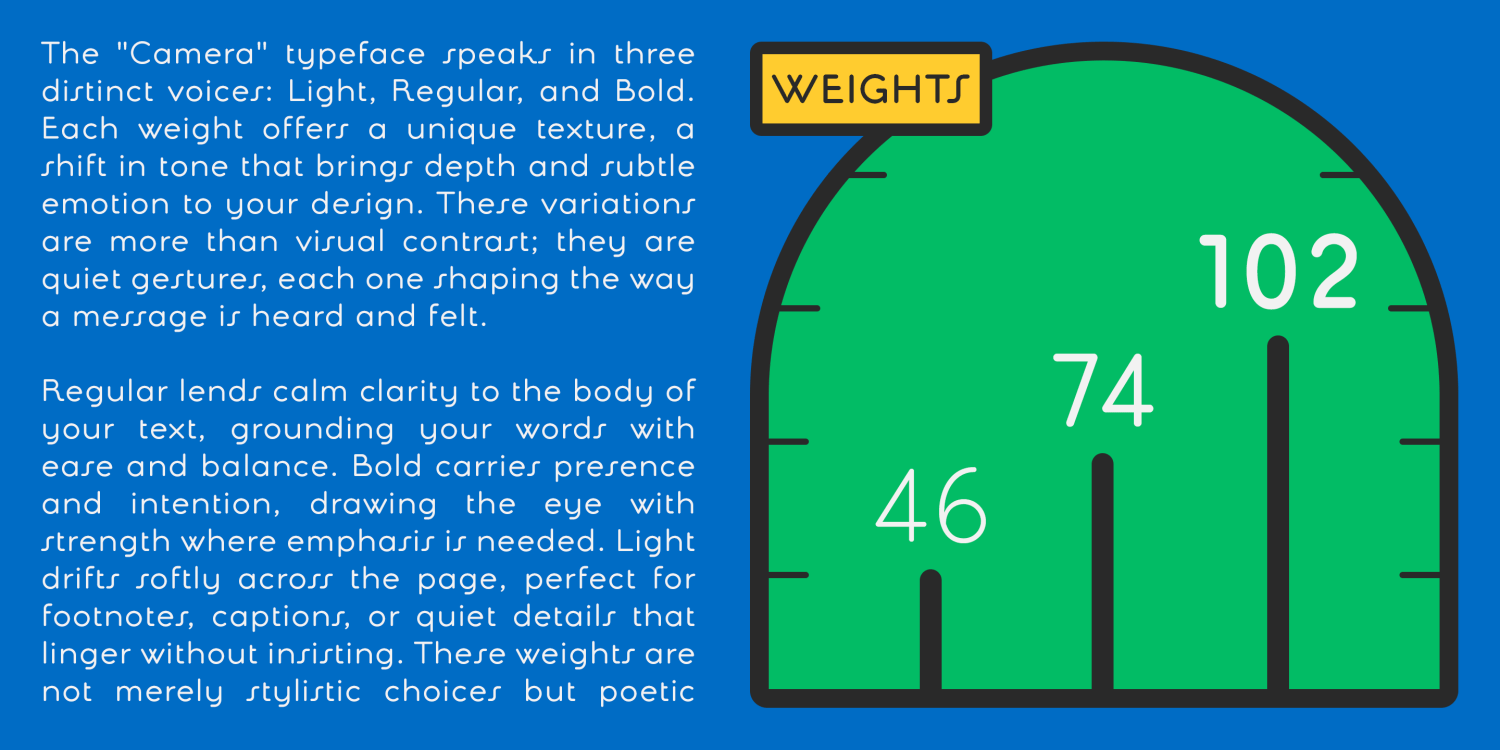 Camera Font Poster #4