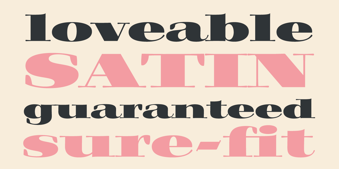 Filmotype Rose Font Poster #3