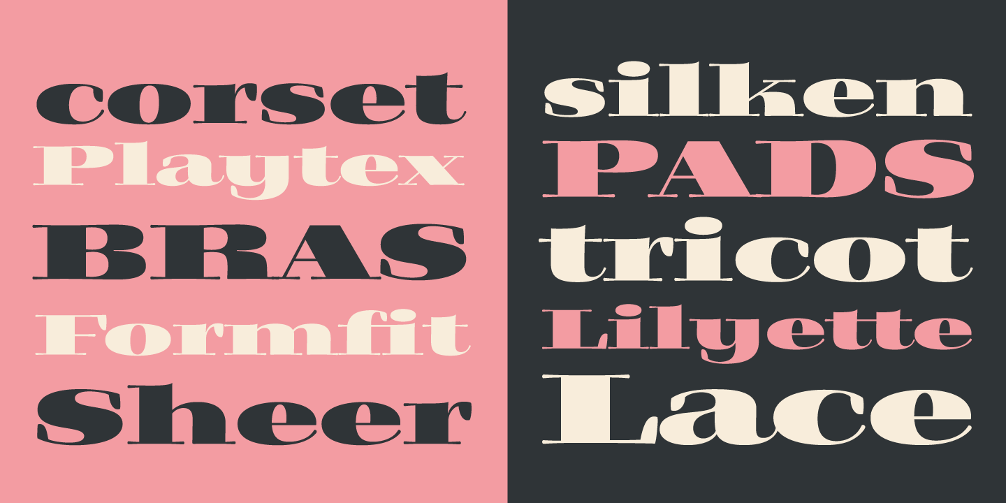 Filmotype Rose Font Poster #4