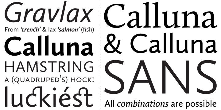 Calluna Sans Font Poster #1