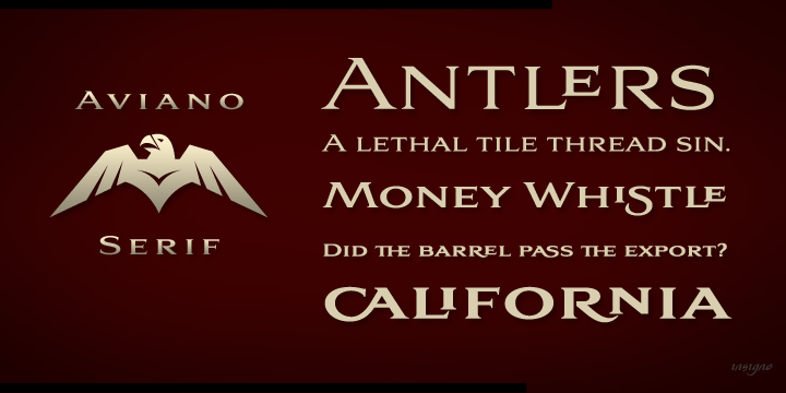 Aviano Serif Font Poster #1