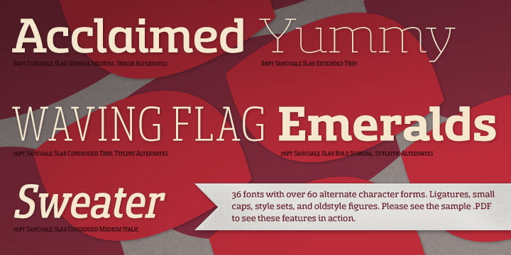 Sancoale Slab Font Poster #1