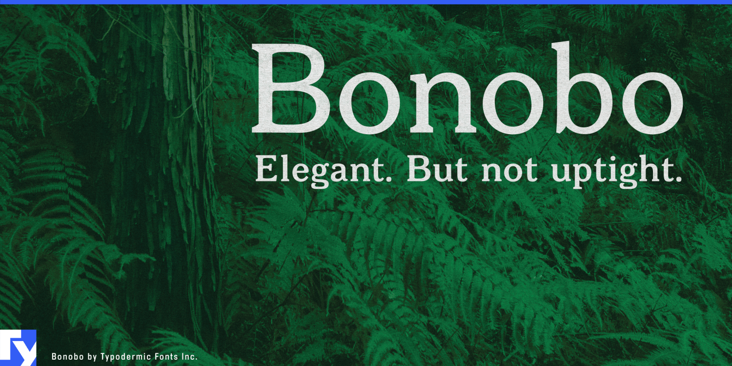 Bonobo Font Poster #1