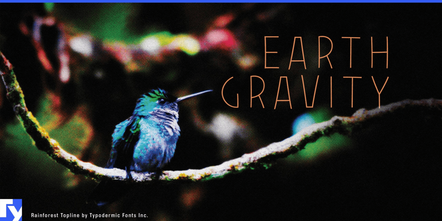 Rainforest Font Poster #1