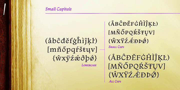 Monarcha Font Poster #1