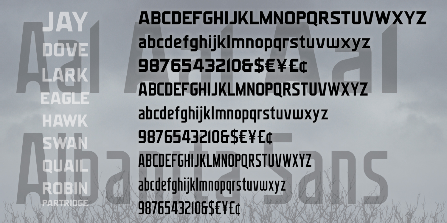 Albanita Font Family Poster